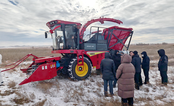 標(biāo)題:中央財政林草科技推廣項目設(shè)備交付 檸條收獲機(jī)落地賦能沙地生態(tài)治理
瀏覽次數(shù):408
發(fā)表時間:2025-12-12